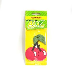 accesorios autos iquique