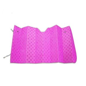 accesorios autos iquique